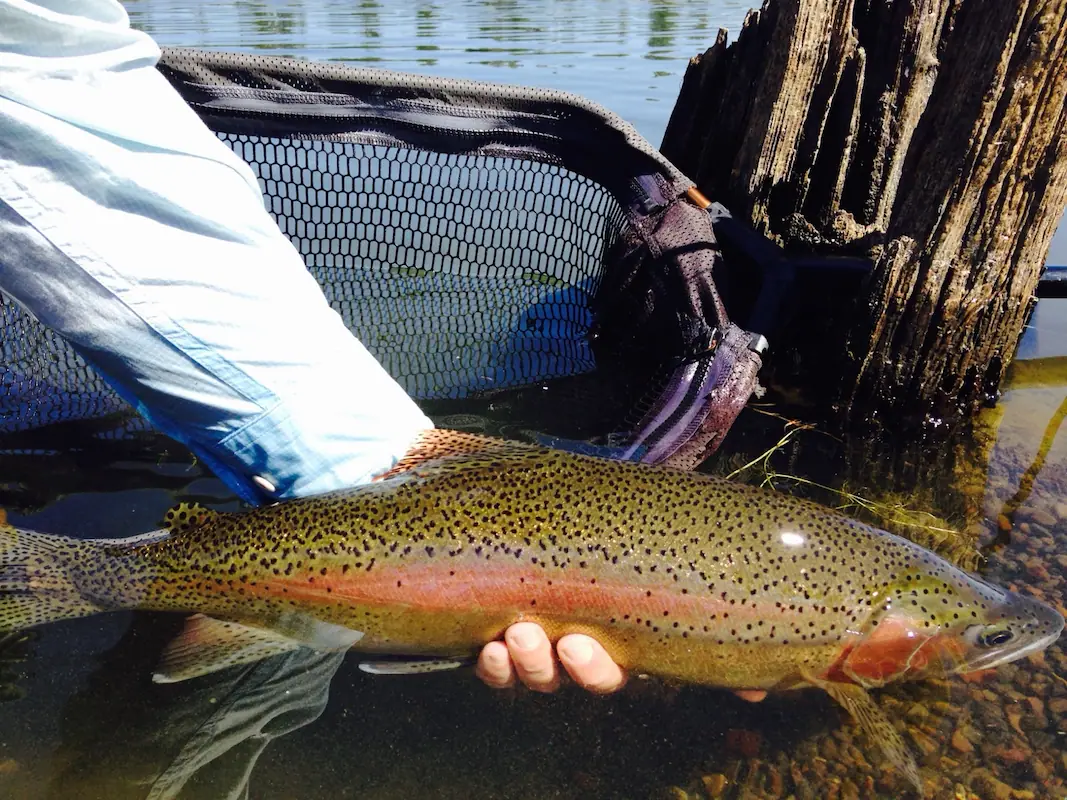Hero photo — the Lower Deschutes River canyon